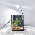 LYPHARD AQUARIUMS Mini Aquarium Set Fish Tank Shrimp Tank Snails Tank Planted Tank 1.2 Gallon Aquarium Kit, Small Desktop Fish Tank for Small Aquatic Pets for Beginner