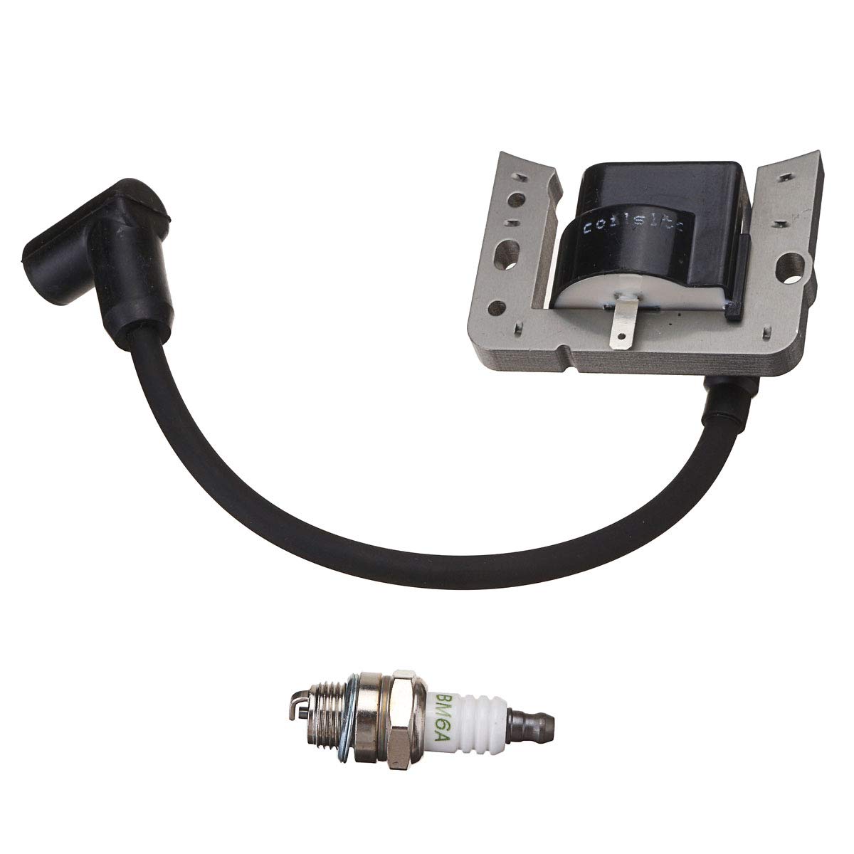 RISHIL WORLD Ignition Coil Spark Plug for Tecumseh: Amazon.in: Electronics