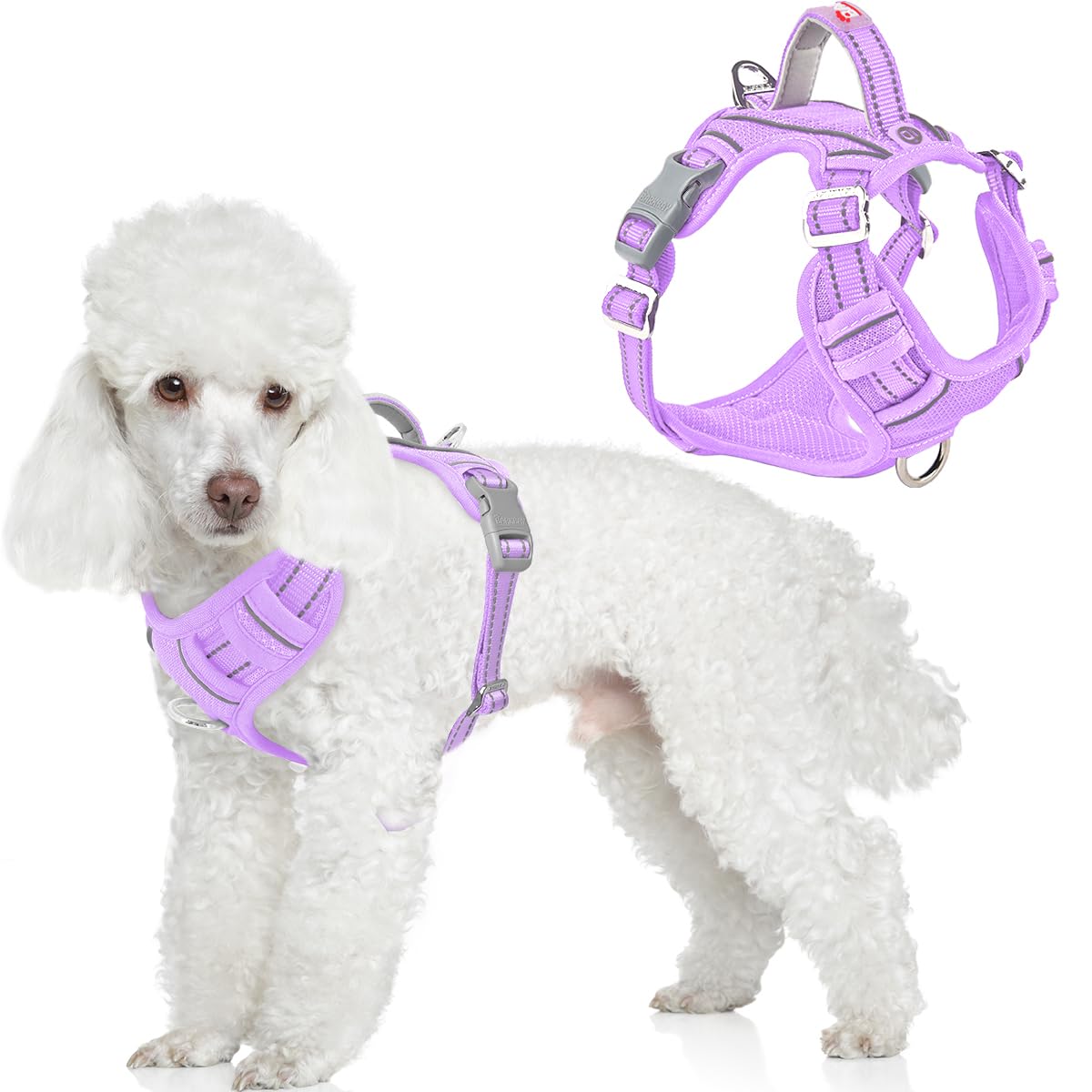 BARKBAY No Pull Dog Harness Front Clip Heavy Duty Reflective Easy Control Handle for Large Dog Walking with ID tag Pocket(Violet Purple,S)