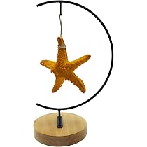 Amazon.com: SGrace Ornament Display Stand Holder Home Wedding ...