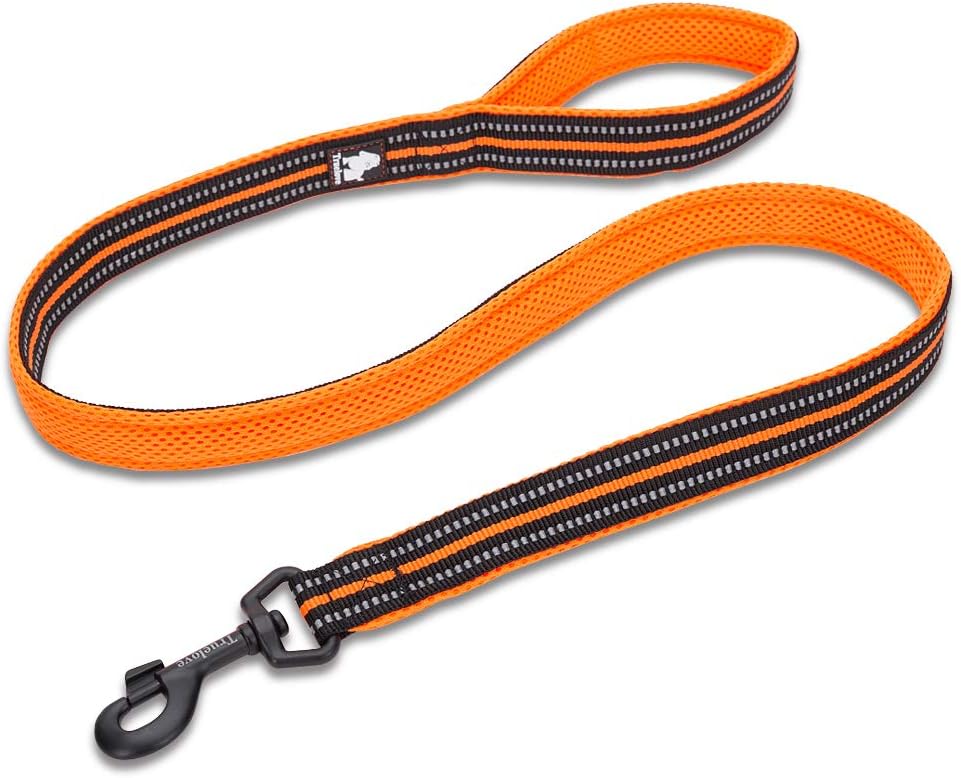 TRUE LOVE Truelove Dog Leash TLL2111 Puppy Walking Lead Leash,Pet Chain Rope,Handle Traction Rope,Padded Reflective Night Safe Leading Length 200cm Now Available (M - Image 4