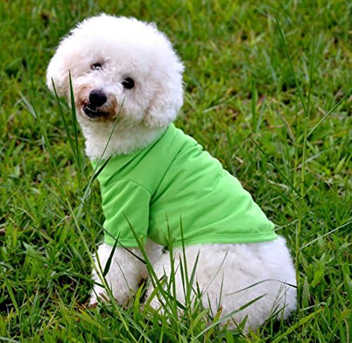 Pet Dog Cat Puppy Polo T-Shirt Clothes Outfit Apparel Coats Tops for for Mini Dachshund (M)