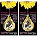 Garnier Olia Ammonia-Free Brilliant Color Oil-Rich Permanent Hair Color, 4.3 Dark Golden Brown (Pack of 2) Brown Hair Dye (Packaging May Vary)