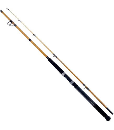 Amazon.com : Daiwa AIRX702MHFB Aird-X 10-20 lb Test Rod, Black
