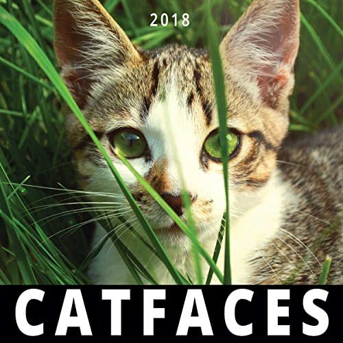 CAT FACES 2018 Cute Cats Wall Calendar Monthly Planner 12x12 Inches