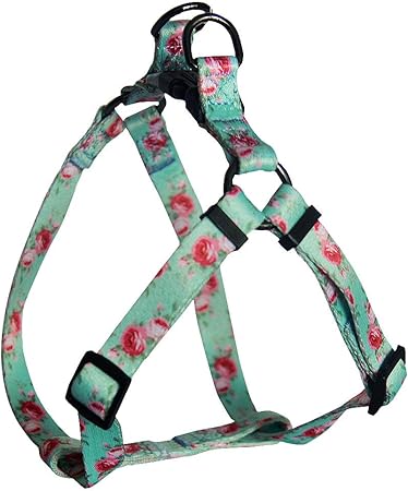 durable harness for dogs