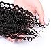 Ainmeys Curly Wave Wigs Virgin Brazilian Water Wave Wigs None Lace Front Wigs Human Hair Wigs 150% Density Glueless Machine Made Wigs For Black Women (20inch, jet dark wigs)