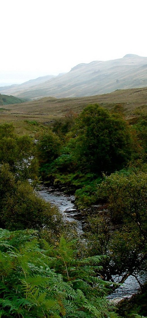 PeelitStickit, Beautiful Nature Wall Murals, ID-0826, vinyl