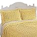 Collections Etc Calista Chenille Floral Design Pillow Sham with Fringe Border, 20