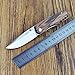 Enlan M011 Pocket Knife with Stainless Steel Blade and Zebra Wood Handle Outdoor Camping EDC Hand Tool Folding Knife with Clip (Plain)