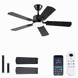 42 inch Modern Ceiling Fans with Lights APP/Remote