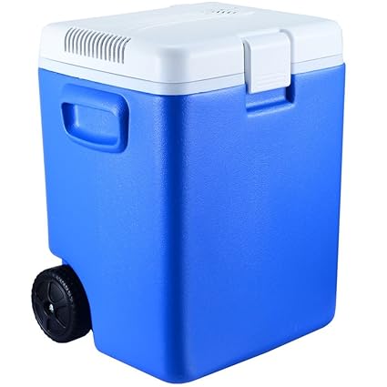 Amazon.es: GEGEQUNAERYA Nevera portátil para coche, barra de ...