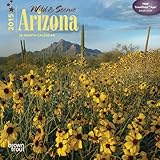 Arizona, Wild & Scenic 2015 Mini 7x7 by 