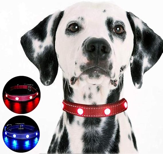 MASBRILL Waterproof LED Dog Collar with USB Rechargeable Safety Light