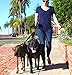 Leash Boss Duo - Adjustable Double Dog Leash for Large Dogs - Reflective No Tangle Leash for Walking Two Dogs at Once (Reflective Coupler with Handle)