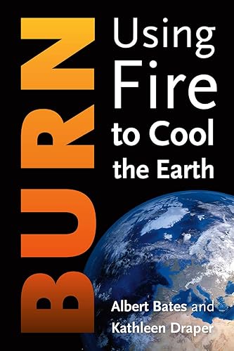 Download Burn: Using Fire to Cool the Earth PDF