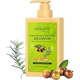 Gypsophila Follicle Shampoo,Anti-Dandruff Shampoo for Men & Women- Helps Relieve Flaking & Itchy Scalp and Dryness, Sulfate & Paraben-Free, 10.14 Fl Oz