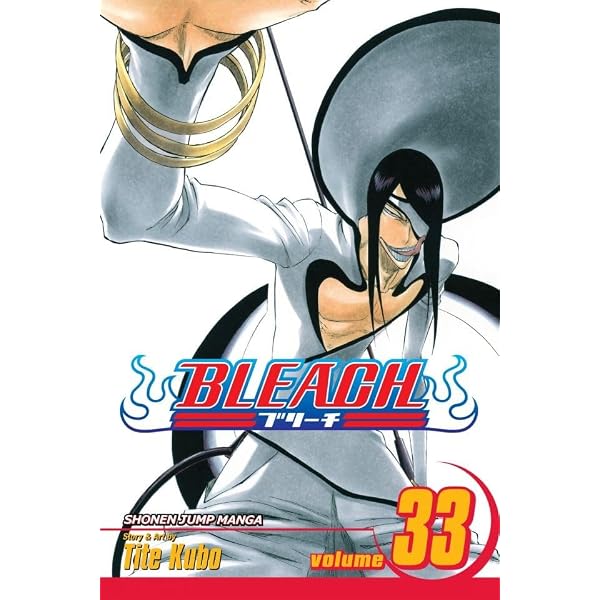 Amazon.com: Bleach, Vol. 34: King of the Kill eBook : Kubo, Tite