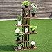 Giantex Flower Rack Wood Plant Stand 7 Wood Shelves 11 Pots Bonsai Display Shelf Indoor Outdoor Yard Garden Patio Balcony Living Room Multifunctional Storage Rack Bookshelf W/Hollow-Out Rackthumb 2