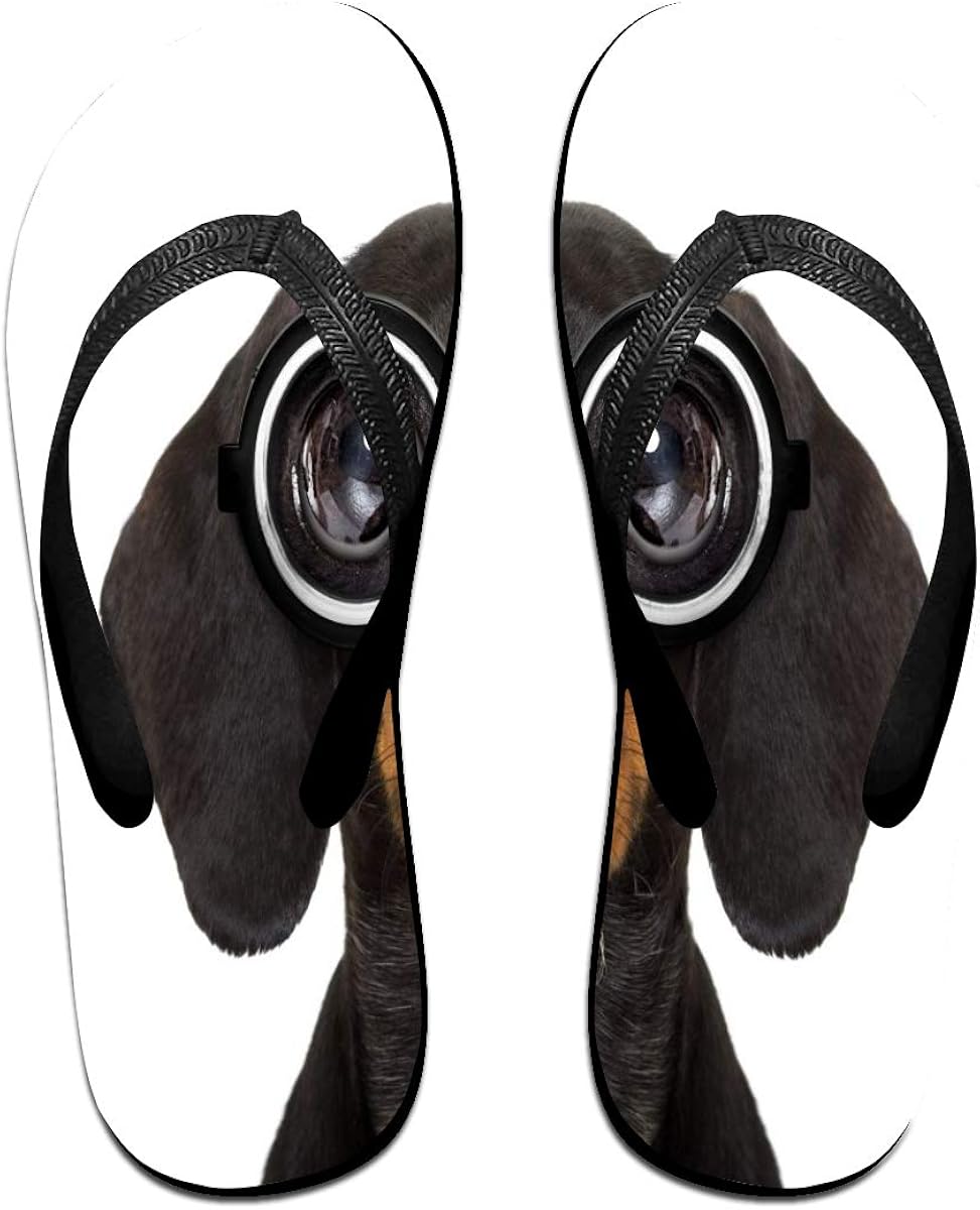 dachshund slippers amazon