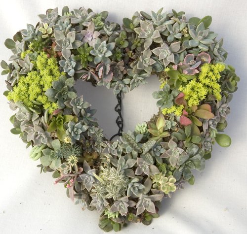 15" Wire Wreath Frame - Heart Living Wreath Form