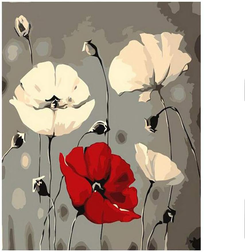 16 x 20 Zoll ohne Rahmen DIY Malen nach Zahlen Kits für