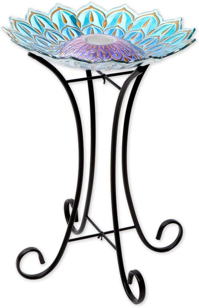 The Best Solar Bird Baths (2021 Reviews) Pet Care Resource