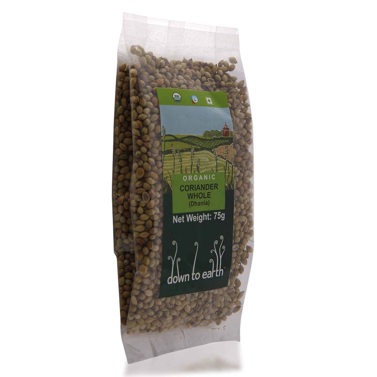 t ball cleats size 9