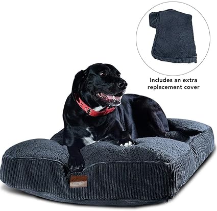 dog bed for 100 pound dog