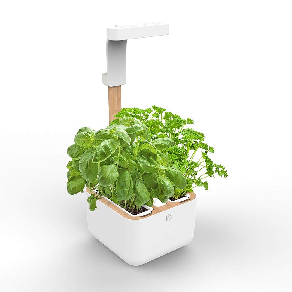 Véritable BOTANEO Eylo Indoor Garden Kit with 2 Lingot Automatic LED Lighting