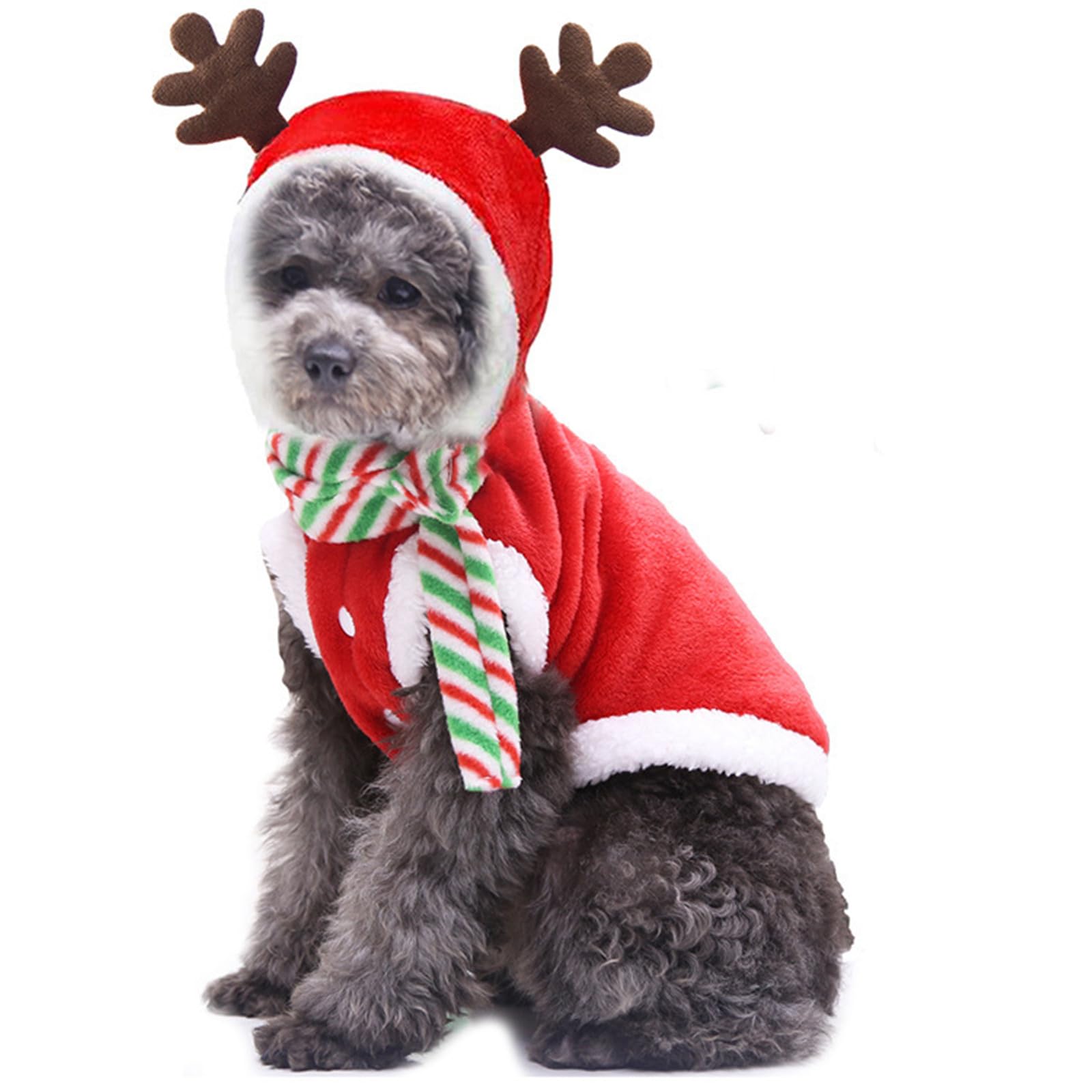 Dog Coat Christmas Autumn Winter Dog Cat Hooded Sweatshirt Christmas Costume for Small Dogs(2XL)