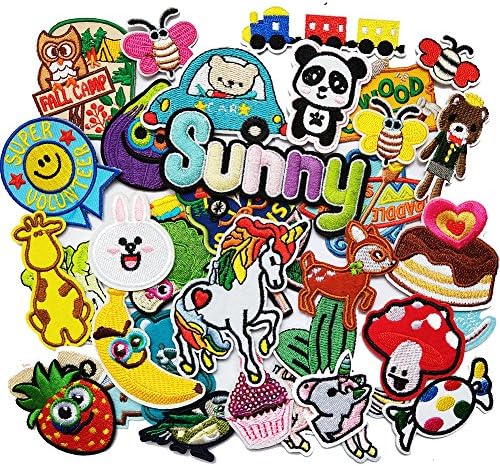 Czorange 30pcs Embroidered Patch Sew On/Iron On Patch Applique Clothes Dress Plant Hat Jeans Sewing Flowers Applique Diy Accessory Random Assorted For Boys Girls