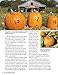 Extreme Pumpkin Carving, Second Edition Revised and Expanded: 20 Amazing Designs from Frightful to Fabulous (Fox Chapel Publishing) How to Use Relief-Carving Techniques to Create Realistic Features