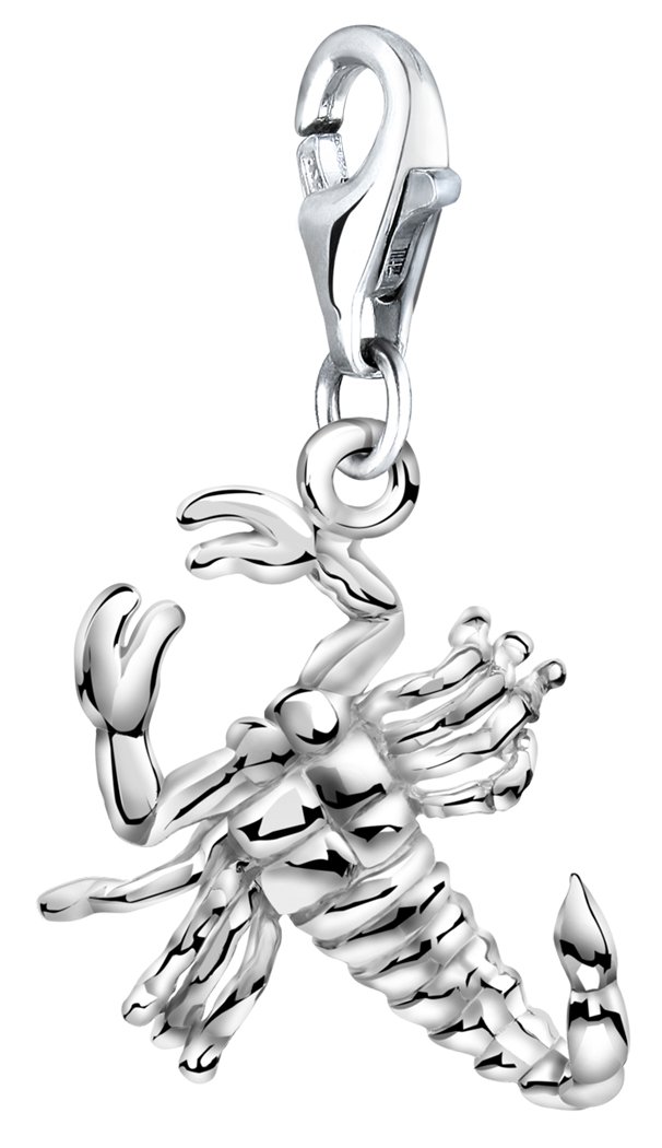 Nenalina 713198-000 scorpion charm pendant in 925 sterling silver, fits all common charm jewellery
