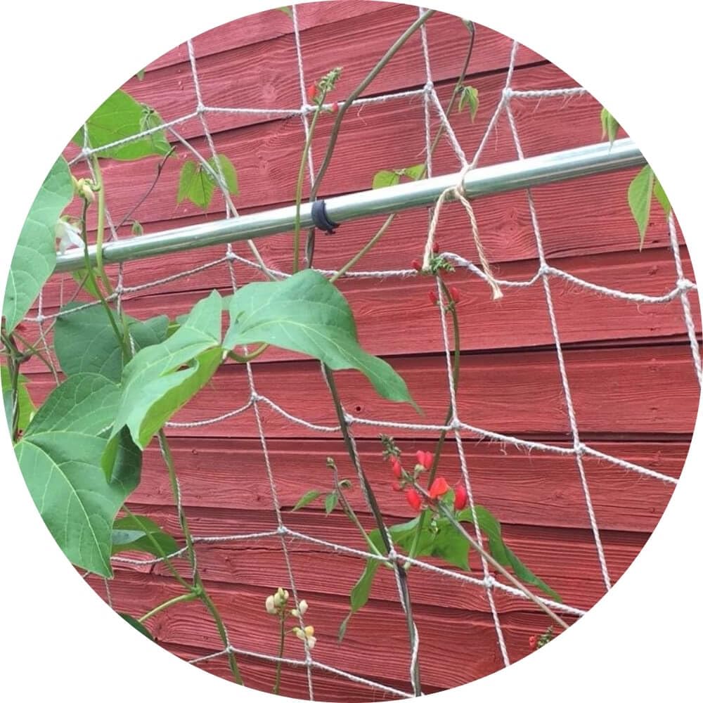 Jute Netting Pea and Bean Biodegradable String Netting (Natural, 2m x 5m Natural)