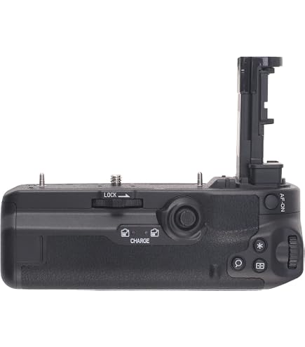Amazon.com : DSTE BG-E22 Vertical Battery Grip Compatible for