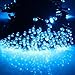 Blue 17m 55ft 100 LED Solar Powered Fairy String Light for Outdoor / Gardens / Homes / Christmas / Partys / Weddings / Easter / Festivals;Party Decoration Waterproof Solar Lights (100 LED ,Blue color)