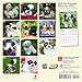 Shih Tzu Puppies 2018 7 x 7 Inch Monthly Mini Wall Calendar, Animal Small Dog Breed Puppies