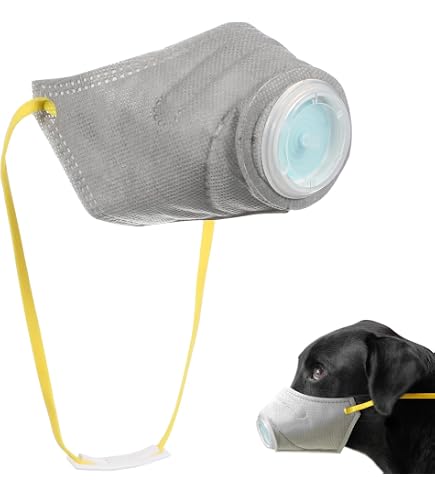 Amazon.com : QIYADIN Soft Adjustable Dog Mouth Mask with Filter