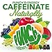 4-PACK Punch’d Natural Energy Caffeine Gummies: Premium Strong Green Coffee Bean Caffeine, Real Superfruit w/Vitamin C, Low Cal, Low Carb, Low Glycemic, Grab 'n Go Coffee