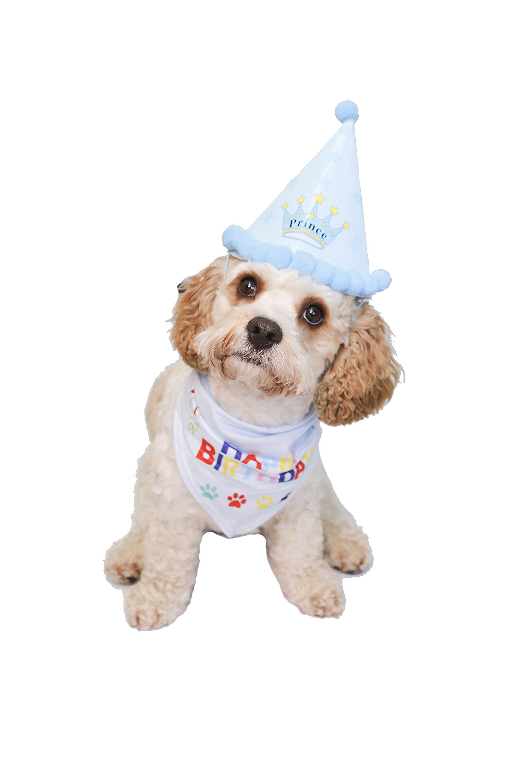 Dog Pet Happy Birthday Bandana tie and Matching Cute Hat in blue for the Boys | Party Accessory, puppy set | Dog Birthday | Pet Birthday |Puppy Birthday| Dog Birthday Bandana | Birthday Hat