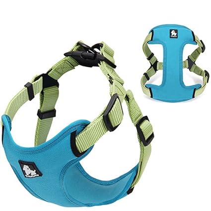 Amazon.com : Treat Me Reflective Pet Safety Harness No Pull Durable