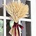GTIDEA Large Golden Dried Natural Wheat Sheave Bundle Premium Spring Arrangements Full Wholesale DIY Home Kitchen Table Wedding Centerpieces Decorative