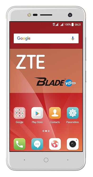 ZTE Blade V8 Mini Smartphone (12,7 cm (5 Zoll) Display, 16 GB Speicher, Dual-SIM, Android 7.0) Silber