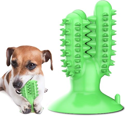 dog teeth cleaning supplies