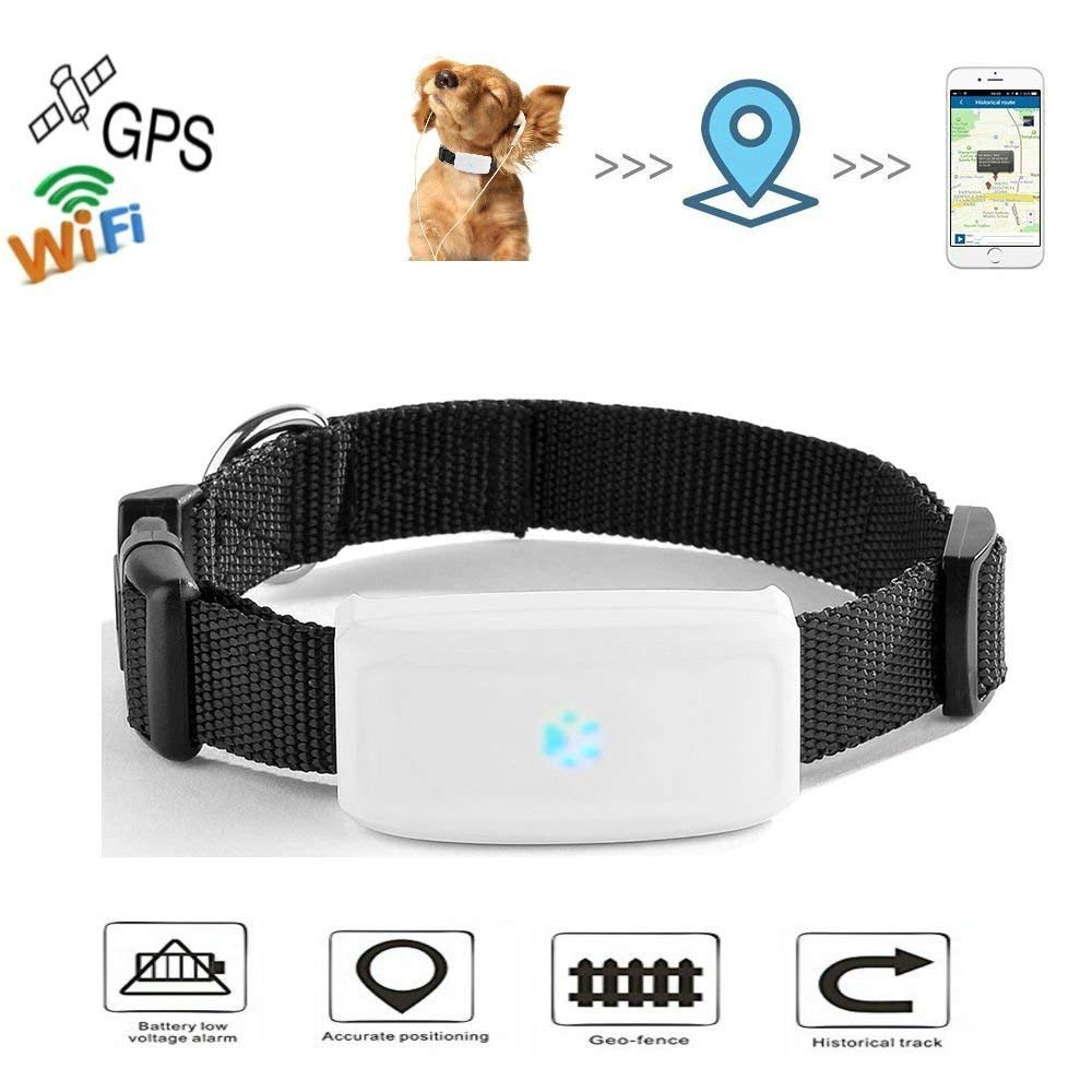  Tickran Pet Gps Tracker Dogcat With Collar Anti