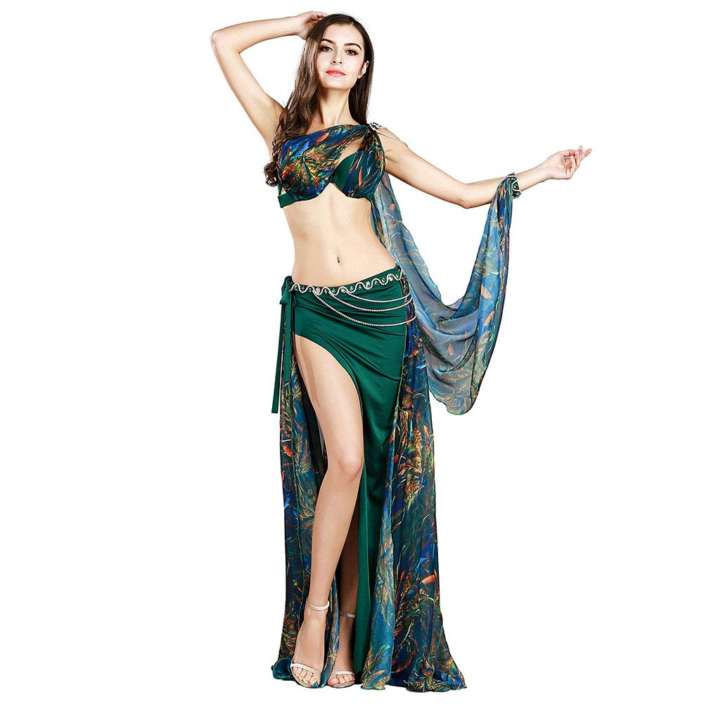 ROYAL SMEELA Belly Dance Costumes Retro Floral Chiffon Maxi Skirts Bra Waist Chain Shawl with Arm Ring 4pcs Set Women Dance Dress Carnival Dancing Party Dresses 4 Pieces Suit Green