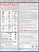 Globally Harmonized System (New) Pictograms and Hazards (GHS) Poster - UV Coating 18" x 24" primary