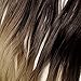 S-noilite Invisible Crown Hair Extensions Secret Transparent Headband Hairpieces No Clip Long Human Made Natural Synthetic Fibre Hair Piece for Women Curly 20 Inch dark brown to ash blonde