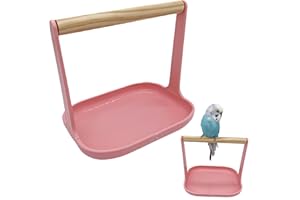 AkNebriax Bird Training Stand - Portable Tabletop Lightweight Parrot Perch with Tray, Indoor Bird Feeding Station Perch for S